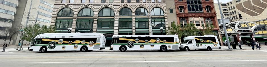 50th anniversary buses