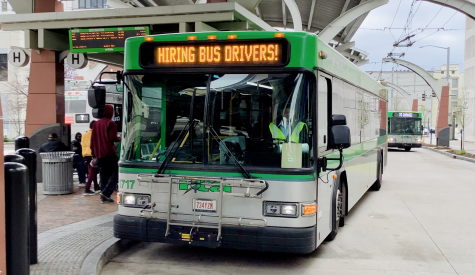 Hiring Bus Drivers